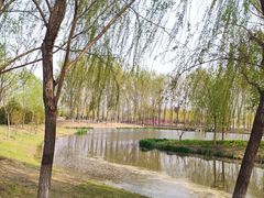 -东郊湿地公园