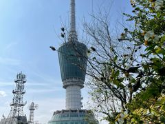 -梧桐山风景名胜区