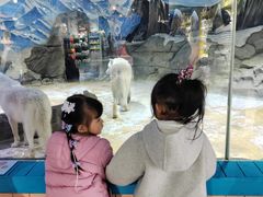 -海合安成都极地海洋公园