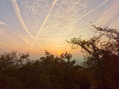 -杭州半山国家森林公园