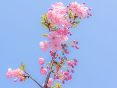 -南山植物园