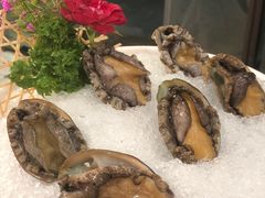 鲜活十头鲍-大永發老火浓汤·经典粤菜(北滨路店)