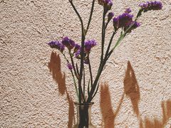 餐具摆设-小大董·烤鸭(凤凰汇店)