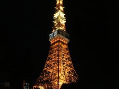 -东京塔海贼王主题公园
