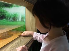 -广州长隆飞鸟乐园