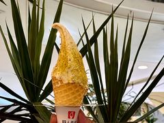-野人先生Gelato(上海长宁龙之梦店)