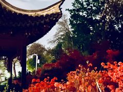 -老门东历史文化街区