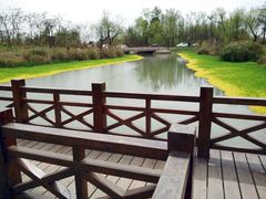 -桤木河湿地公园