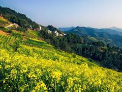 -石潭村