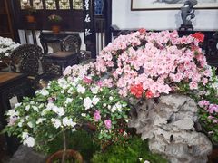 -惠山古镇·寄畅园