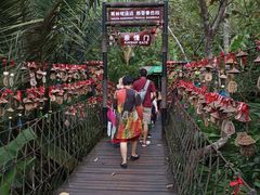 -呀诺达热带雨林