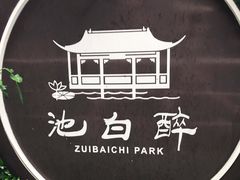 -上海醉白池公园