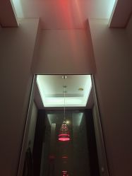 -史云逊养发护发