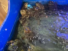 -集草轩·重庆麻辣烤鱼(西湖道店)