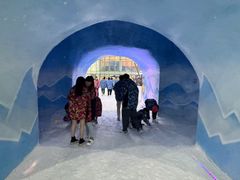 -世界之窗阿尔卑斯冰雪世界
