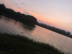 -洋湖国家湿地公园