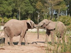 -鄂尔多斯野生动物园