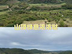 -塞罕坝国家级自然保护区