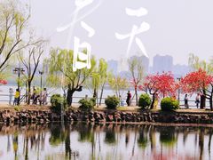 -无锡蠡湖国家湿地公园-蠡园