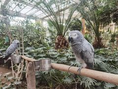 -南宫五洲植物乐园