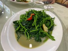 腐乳番薯藤-横琴湖畔美食