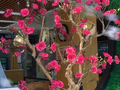 -如轩·海鲜砂锅粥·潮汕菜(小榄店)