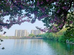 -杭州半山国家森林公园