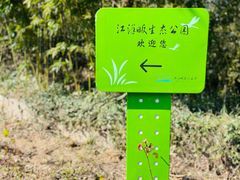 -西湖风景区-江洋畈生态公园