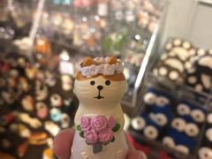 -猫咪博物馆(顶澳仔猫街店)