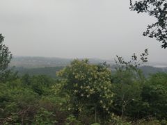 -六合国家地质公园桂子山景区