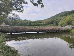 -大屏嶂森林公园