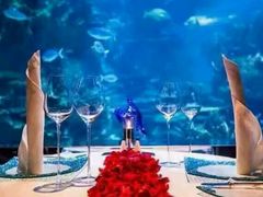 -迪拜帆船酒店海底餐厅