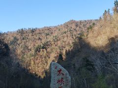 -凤凰山国家森林公园
