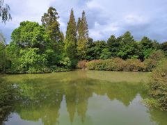 -上海滨江森林公园