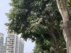 -一杯潮茶·专注潮汕茶饮(朝阳庄店)