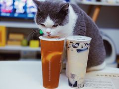 -益禾堂(宝岗店)