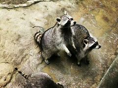 -昆明动物园