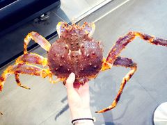 -盒马鲜生(宝地店)