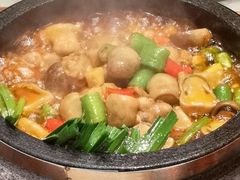 -洪湖家庭农场·团建·露营·会议
