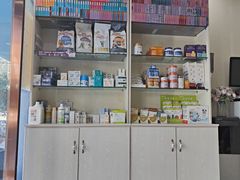 -安琪娜动物医院•健康管理•骨科•急重症诊疗中心