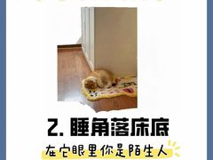 -纳吉亚猫专科动物诊疗中心(蒋宅口分院)