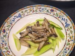 -新光酒家·河豚·海鲜·蟹料理(浦东店)