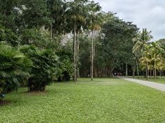 -中国科学院西双版纳热带植物园