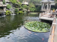 -桃园盛宴·岭南粤菜·手工茶点(南庄店)