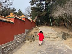 -普陀宗乘之庙(小布达拉宫)