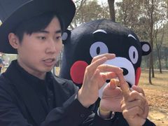 -天适樱花悠乐园