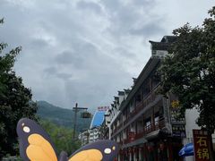 -后柳水乡