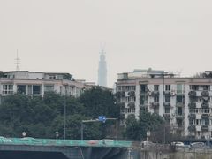 -中和裴氏蹄花(府河路店)
