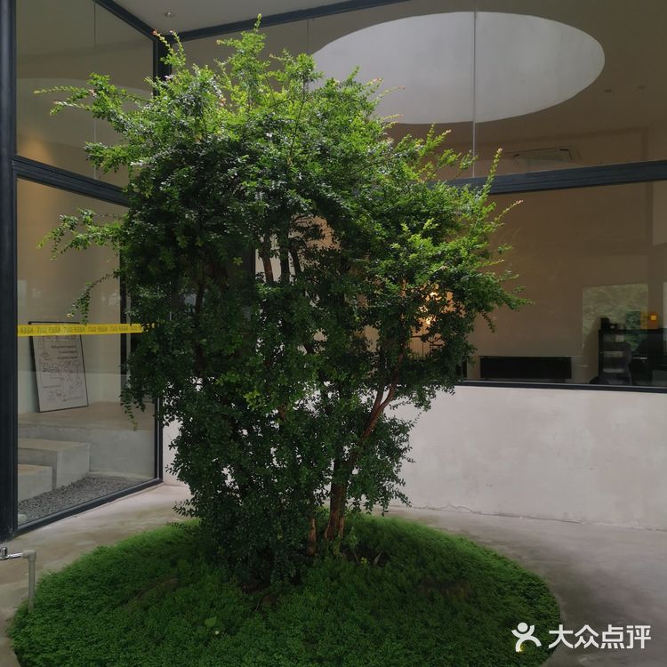 炸鸡的酥脆享受