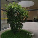 炸鸡的酥脆享受